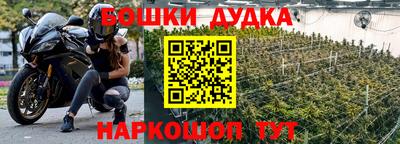 винт Будённовск