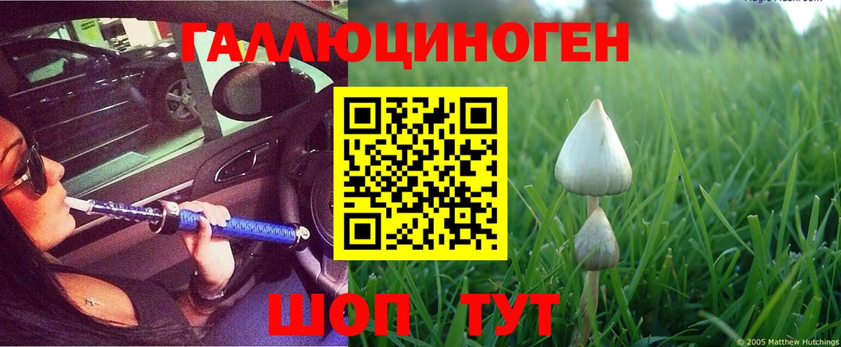 Галлюциногенные грибы ЛСД Тихвин