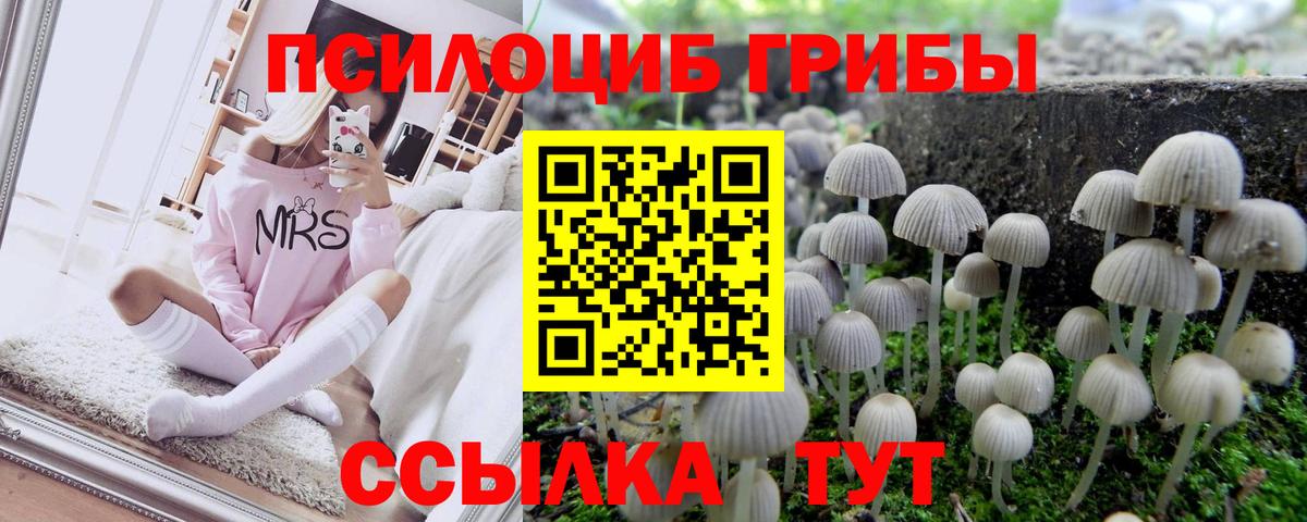 Псилоцибиновые грибы мухоморы  Вход с VPN  Галлюциногенные грибы GOLDEN TEACHER  Тихвин 